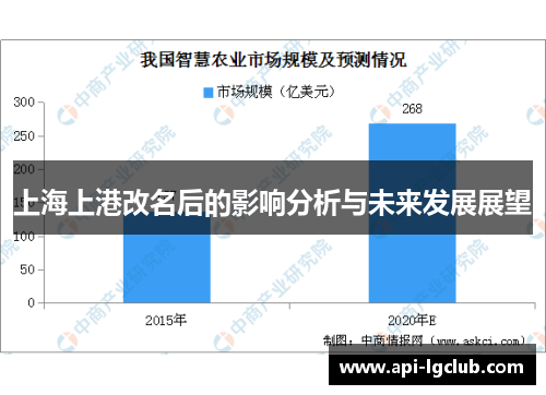 上海上港改名后的影响分析与未来发展展望