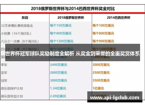 世界杯冠军球队奖励制度全解析 从奖金到荣誉的全面奖赏体系