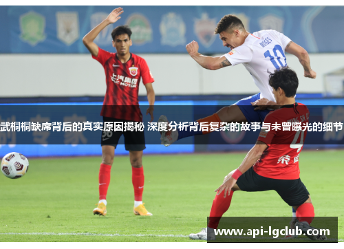 武桐桐缺席背后的真实原因揭秘 深度分析背后复杂的故事与未曾曝光的细节