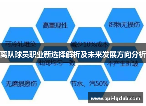 离队球员职业新选择解析及未来发展方向分析 离队球员职业新选择解析及未来发展方向分析