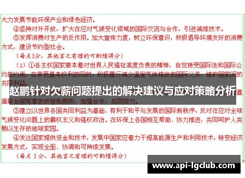 赵鹏针对欠薪问题提出的解决建议与应对策略分析
