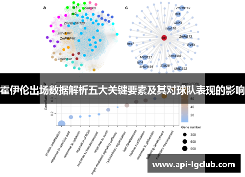 霍伊伦出场数据解析五大关键要素及其对球队表现的影响 霍伊伦出场数据解析五大关键要素及其对球队表现的影响