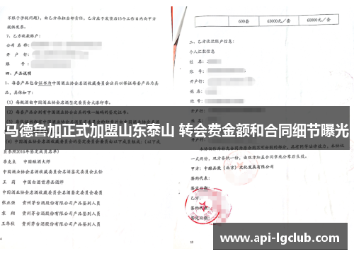 马德鲁加正式加盟山东泰山 转会费金额和合同细节曝光 马德鲁加正式加盟山东泰山 转会费金额和合同细节曝光
