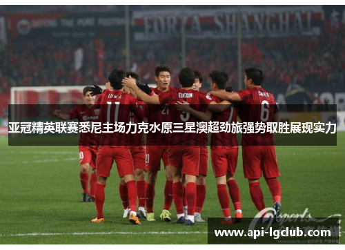 亚冠精英联赛悉尼主场力克水原三星澳超劲旅强势取胜展现实力