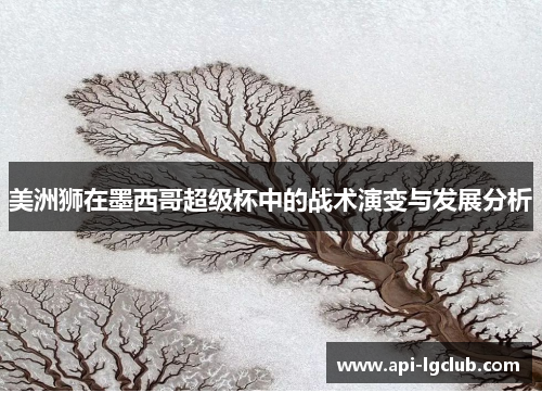 美洲狮在墨西哥超级杯中的战术演变与发展分析