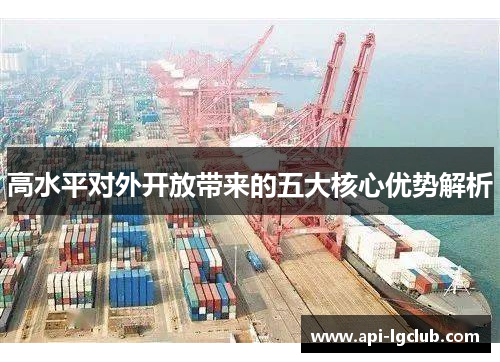 高水平对外开放带来的五大核心优势解析 高水平对外开放带来的五大核心优势解析