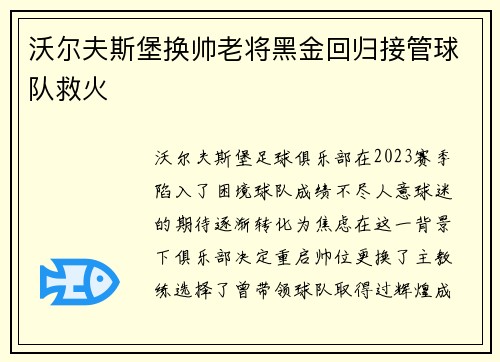 沃尔夫斯堡换帅老将黑金回归接管球队救火